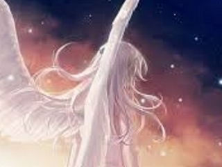 angel0017
