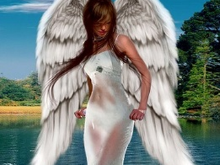 angel0018