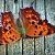motyl0002b