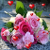 roza0009